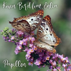Papillon (feat Enlia)