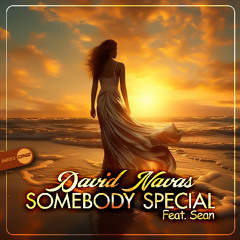 David Navas Feat. Sean - Somebody Special