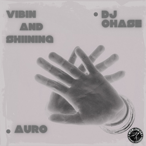 DJ Chase Feat. Auro - Vibin & Shining