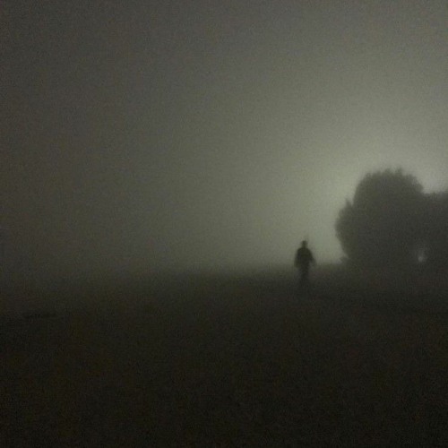 loneliness is not fun