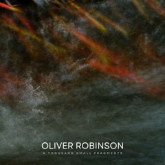 A Thousand Small Fragments