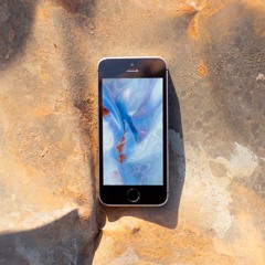 Mutualism W BFTT 090520