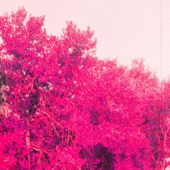 autumn in august