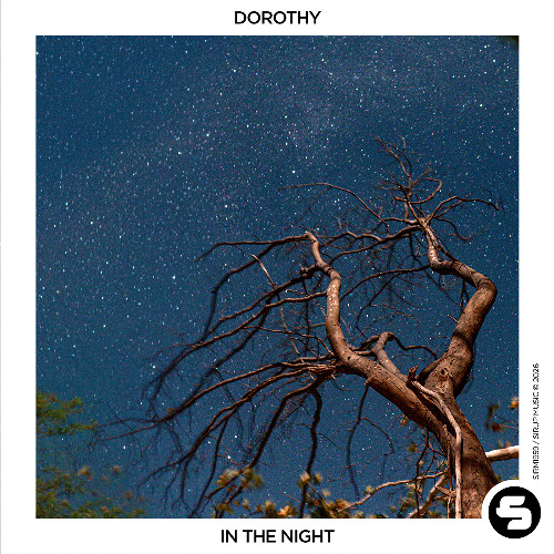 Dorothy - In the Night