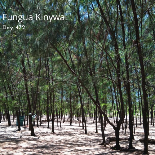 n a s t y  n a t e - Fungua Kinywa. Day 472