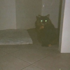 'Nyctophilia' - a 140 Dark Dub Mix