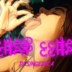 DESINGERICA - CCHAP CCHAP