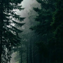 My playlist for the day - Day # 8
