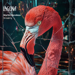 PREMIERE - Martin Mendoza - Baby (Original Mix)