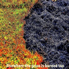 Elsewhere The Grass Is Burned Too