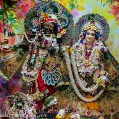 Bhajans By Goloknath Das 24.10.19 SPH