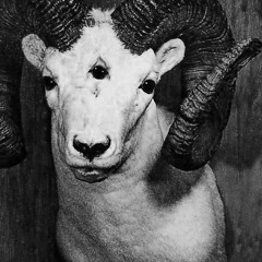 Three headed goat ft. belmainz & younatslime