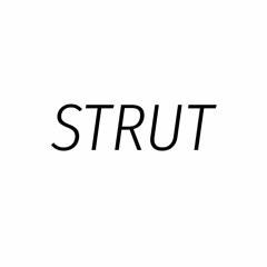Strut - Got Groove