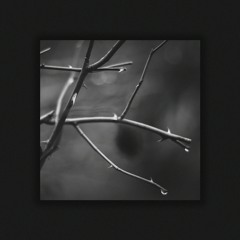 Cover My Roads With Thorns