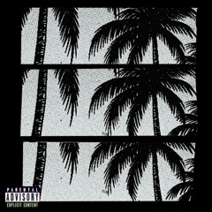 Hidden - The 305