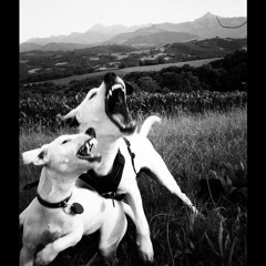 The Children Of Coyote Woman