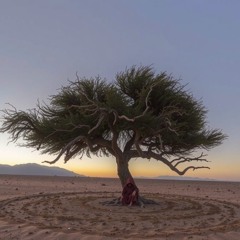 Shepards Tree 432hz
