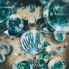 Vibras 🪼🌊❄️🗺️