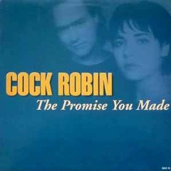 Cock Robin -  The Promise You Made (Remix 2023)
