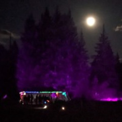 Levi Live Ambient at Meadow Festival 2024