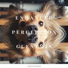 Enhanced Perception Guestmix [19 Mar 2020]