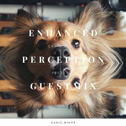 Enhanced Perception Guestmix [19 Mar 2020]