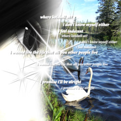 swan song (prod margo proxy)