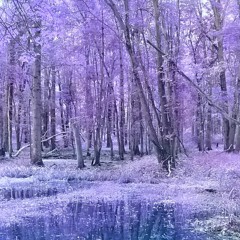 The place of renewal
