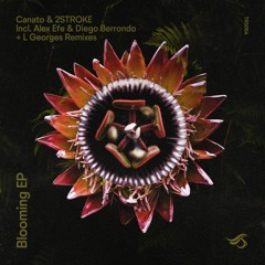 Premiere:  Canato, 2stroke - Blooming (Alex Efe & Diego Berrondo Remix) [Transensations Records]