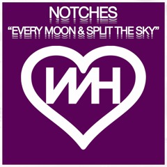Notches - Every Moon (Original Mix) Promo Edit