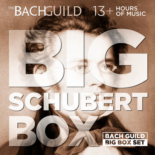 Symphony No. 5 in B-flat Major, D. 485: ii. Andante con moto