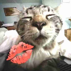 identity crisis w/ gwisin (kashpaint)