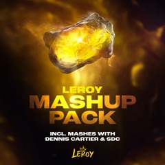 Leroy Mash Up Pack 2023