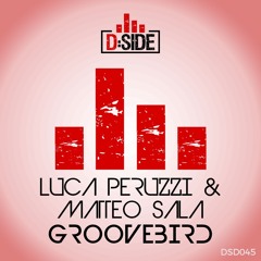 Luca Peruzzi & Matteo Sala : Groovebird