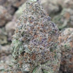 Lettuce ( Jay Di' Nero x Lil Contact)