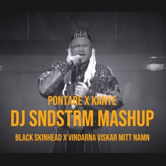 Roger Pontare X Kanye West - Black Skinhead X Vindarna Viskar Mitt Namn (Dj Sandstrom Mashup)