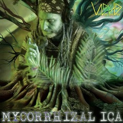 SON RAI -  Essential Voodoo Podcast #001 - Mycorrhizalica (150ish)
