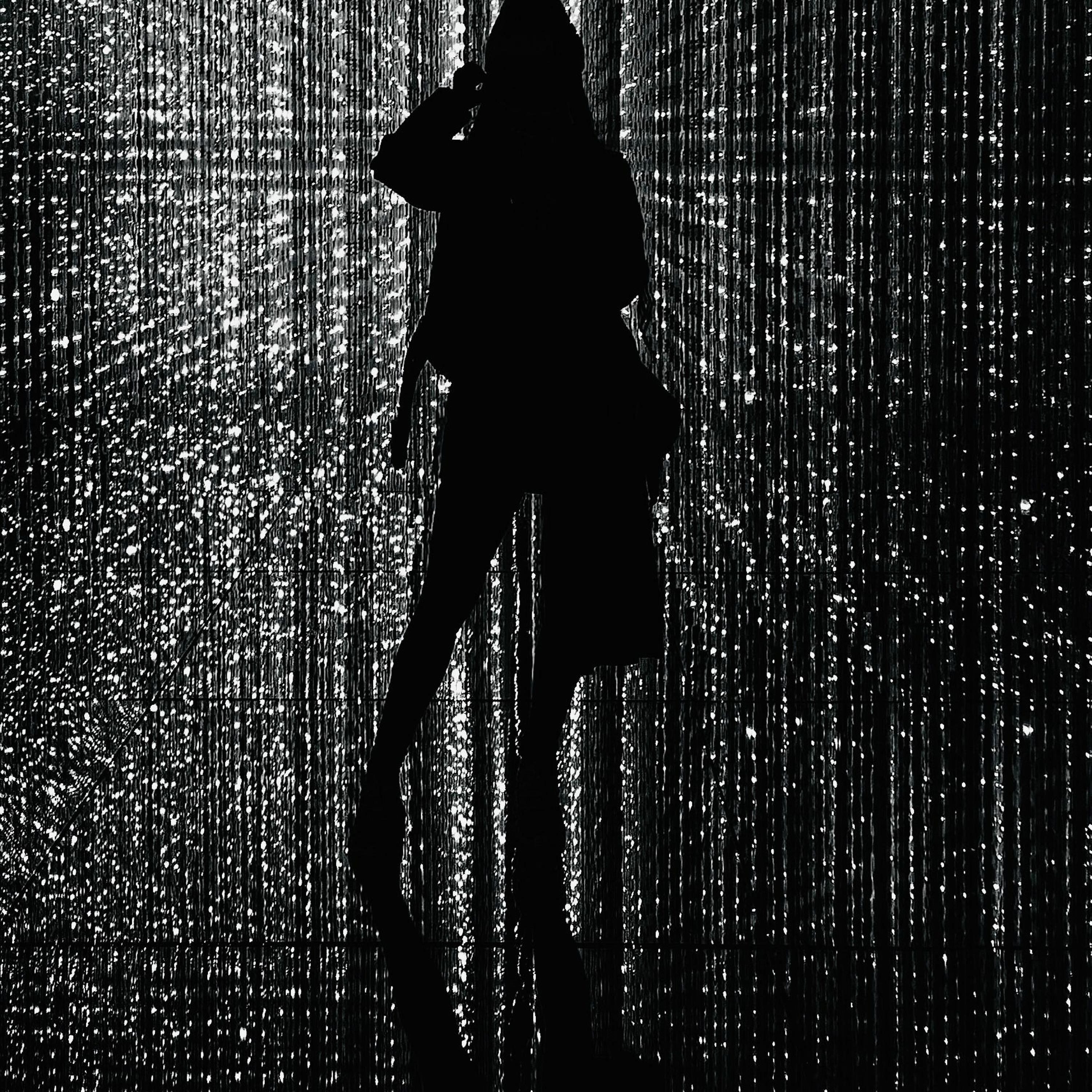 M0nk3y