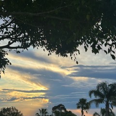 Pain - 28:6:2024, 12.20 pm.m4a