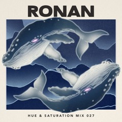 Hue & Saturation Mix 027: RONAN