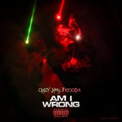 Crazy James & BLOODIE — Am I Wrong
