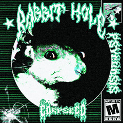 RABBIT HOLE