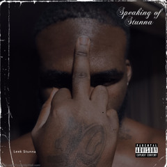 leek stunna- Speaking of stunna