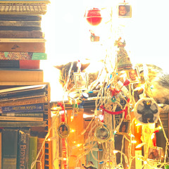 birdsong w/ vicite (prod. typhelicia)