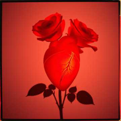 I will kiss forever #097