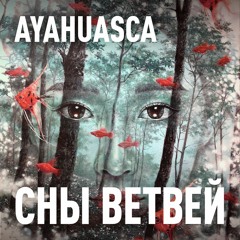 Ayahuasca Takimuyki