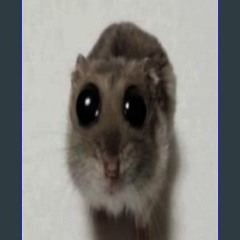 Ebook PDF  ❤ Sad Hamster TikTok Meme, Lined Notebook (6 x 9 inches) - 100 Page Paperback: Sad Hams