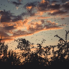 Deep Breakfast 120 - Slow Dancing Society