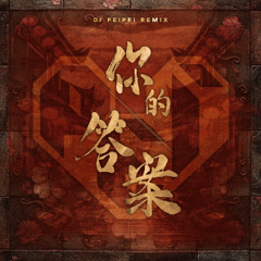 你的答案 (DJ PEIPEI REMIX)