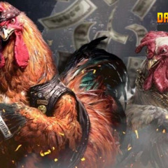 Giới Thiệu Đá Gà Trực Tiếp – Nền Tảng Hàng Đầu Cho Tín Đồ Chọi Kê